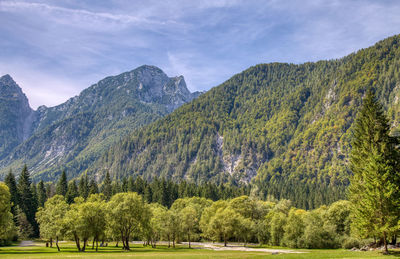 Scenic view of trees and mountains against sky