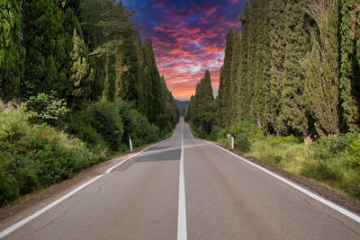 Road amidst trees