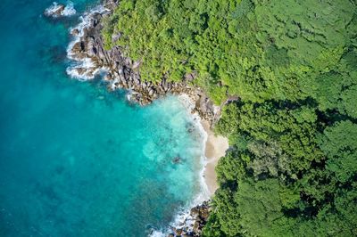 Drone field of view of turquoise water coastline meeting forest mahe, seychelles.