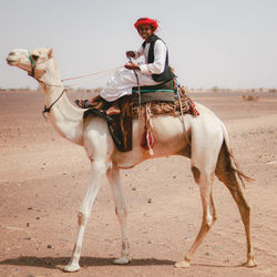 Side view of man riding camels on sand at desert
