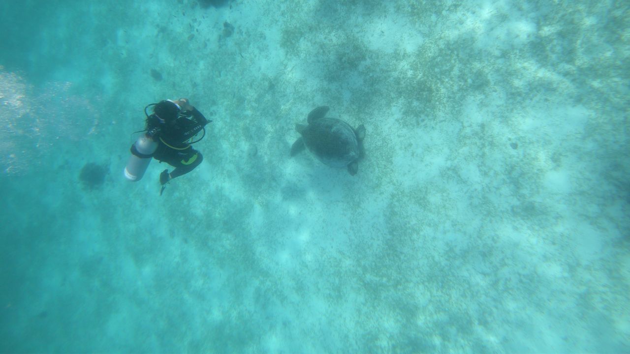 FULL LENGTH OF PEOPLE SWIMMING IN SEA