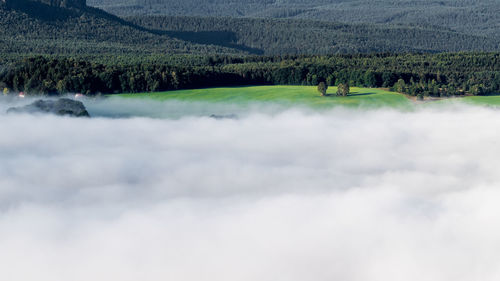 View of clouds against trees