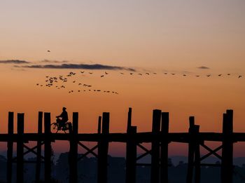 Silhouette birds flying against sky at sunset