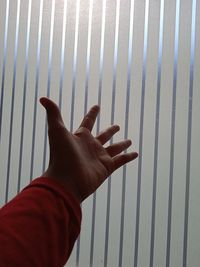 Close-up of person hand against wall