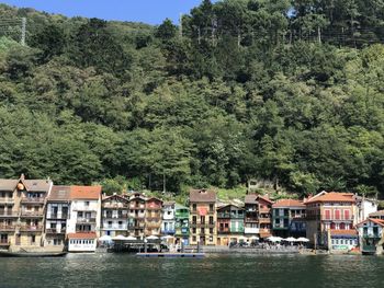 Scenic view of river by buildings and trees