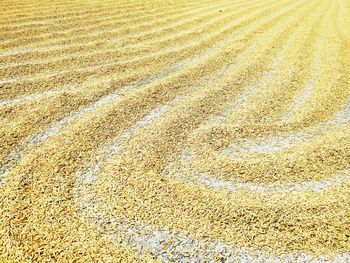 High angle view of sand on beach