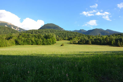 Scenic view of field against sky