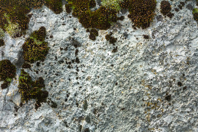 Full frame shot of rock formation