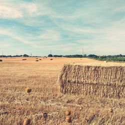 Hay bales on field against sky