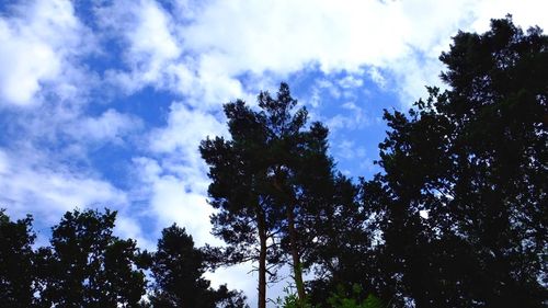 Low angle view of trees against cloudy sky