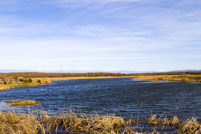 River landscape and view, daylight and outdoor, nature background in georgia