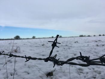 Close-up of barbed wire against sky during winter