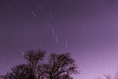 Low angle view of silhouette trees against sky at night