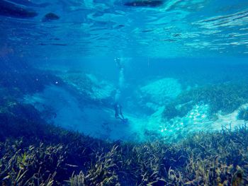 Man swimming in sea