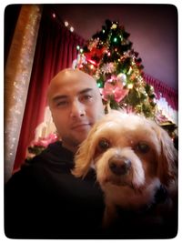 Portrait of dog on christmas tree