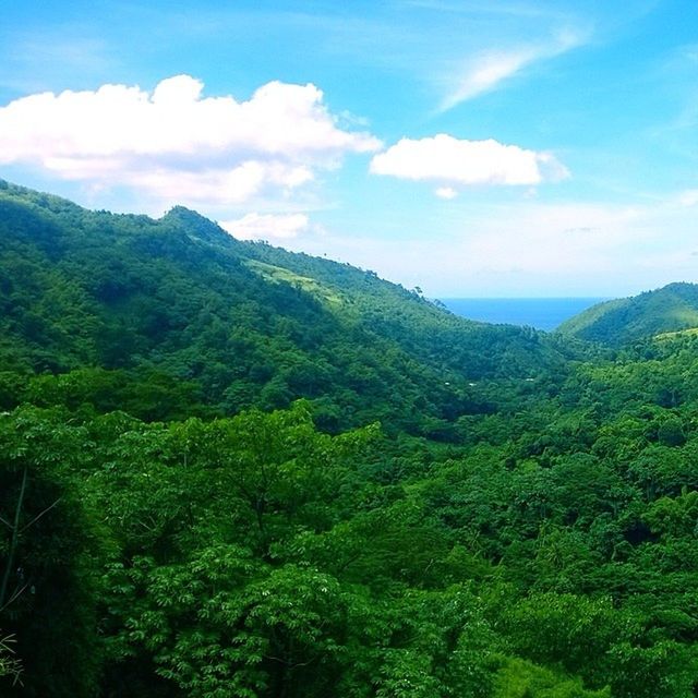 mountain, tranquil scene, tranquility, scenics, beauty in nature, tree, sky, green color, landscape, nature, mountain range, lush foliage, non-urban scene, idyllic, cloud, growth, cloud - sky, forest, day, green