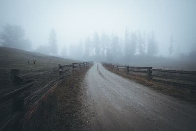 Road amidst trees against sky during foggy weather