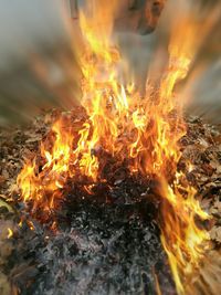 Close-up of bonfire