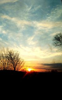 Silhouette trees against sky during sunset