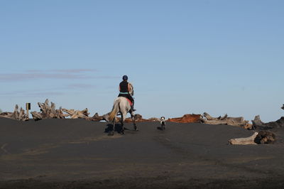 People riding horse on shore against sky