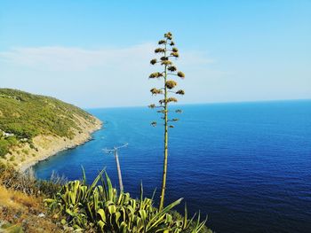 Scenic view of sea against sky