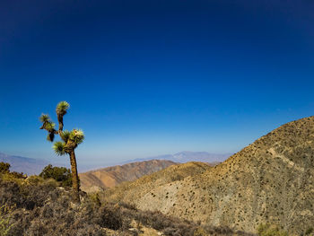 Scenic view of desert against clear blue sky