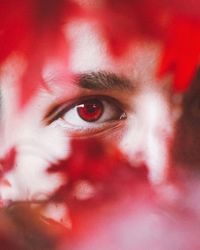 Close-up portrait of human eye