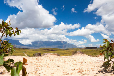 Scenic view of landscape against sky