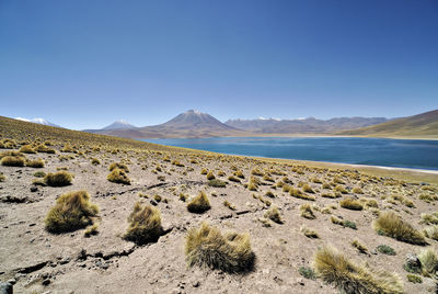 Scenic view of sea against clear blue sky