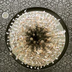 Close-up of circular object on wall