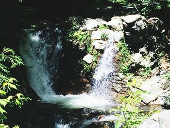 Close-up of waterfall in forest