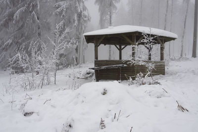 Snow covered field by trees