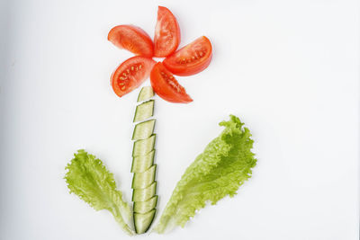 Close-up of fresh green plant against white background