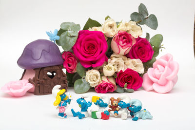 Close-up of roses against white background