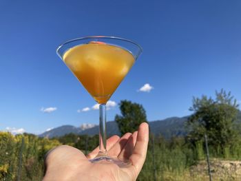 refreshment