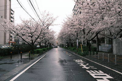 View of road in city