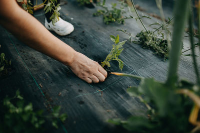 Midsection of person working on wood