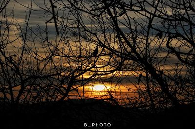 Silhouette bare trees against sky during sunset