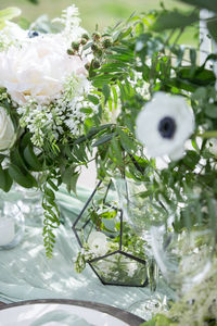 Close-up of white flowers