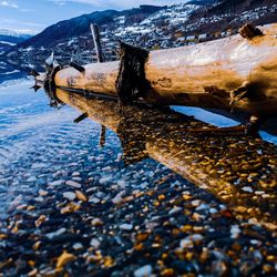 Close-up of driftwood on beach during winter