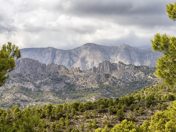 Scenic view of landscape against cloudy sky