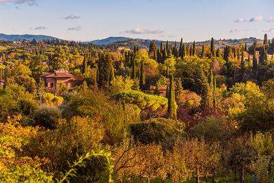 Scenic view of trees growing against sky during autumn