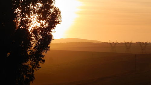 Trees on field against sky at sunset