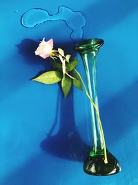 Flower vase on table against blue wall