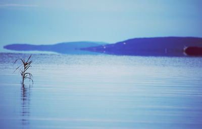 Scenic view of lake against sky during winter