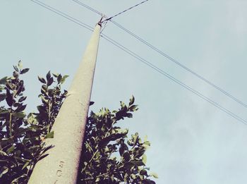 Low angle view of birds perching on power line