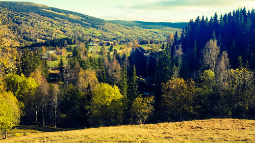 Scenic view of landscape against sky