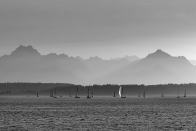 Sailboats sailing in elliott bay near seattle with the olympic mountains in the distance. 