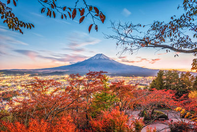 Scenic view of trees and mountains against sky during autumn