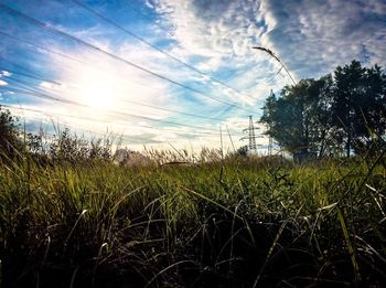 Scenic view of field against sky at sunset